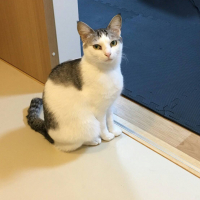 華蓮（カレン）