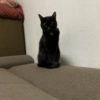 くー