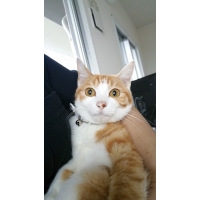 れん