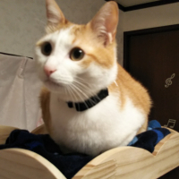そら