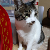 ひめ