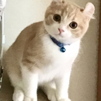 レオン