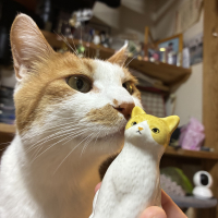 さらん