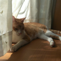 ちー