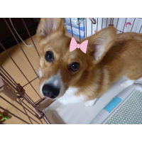 なな