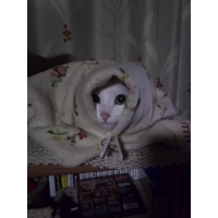 小梅