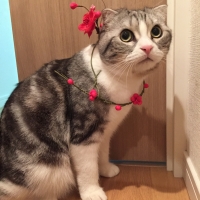 まる