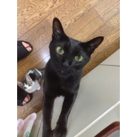 ミミ
