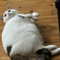 ふみ