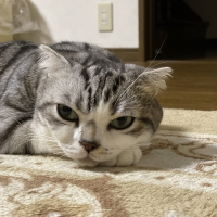 すこじろう