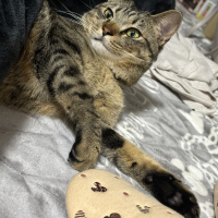あめ