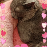 おちび