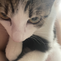 ルナ
