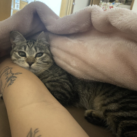 くーちゃん