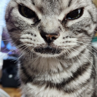 ジョン