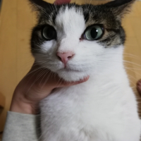 テン
