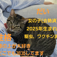 だい