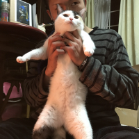 カルメンじゃこマキ