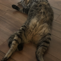 Romagna…『マーニャ』