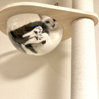 モコ