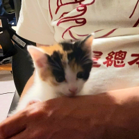 まるちゃん