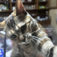 ちゅんち