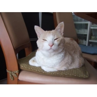 メイ