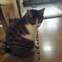 あさひ