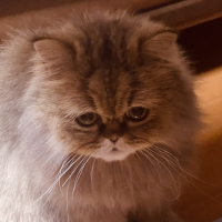 むすか