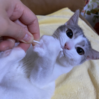 みと