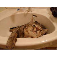 チビタ