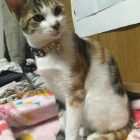 テン