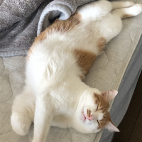 ベル