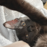 うに