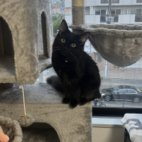 こんぶ