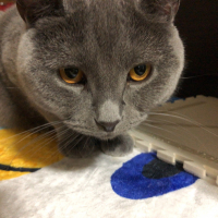 そら