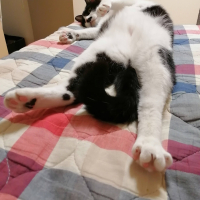 ゆき