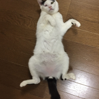 大