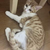 月