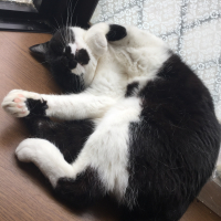 たま