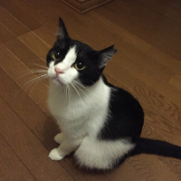 はな