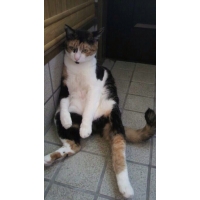 メイ