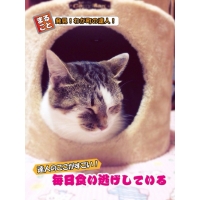 めぐ
