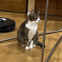 みかん