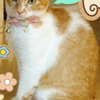 みなも