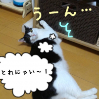 もあ