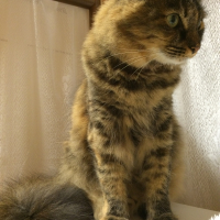 べる