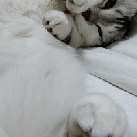 むー