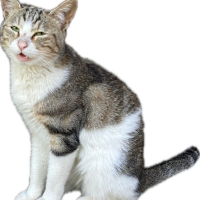 ちびちゃん