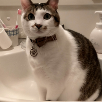 トラミ兄ちゃん